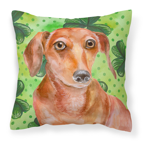 St Patrick's With Dog Fabric Decorative Pillow - S000213B001695P114354V000