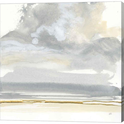 Cumulus Gray I by Chris Paschke, Canvas Art - C1085057-0240000-AAAACMA