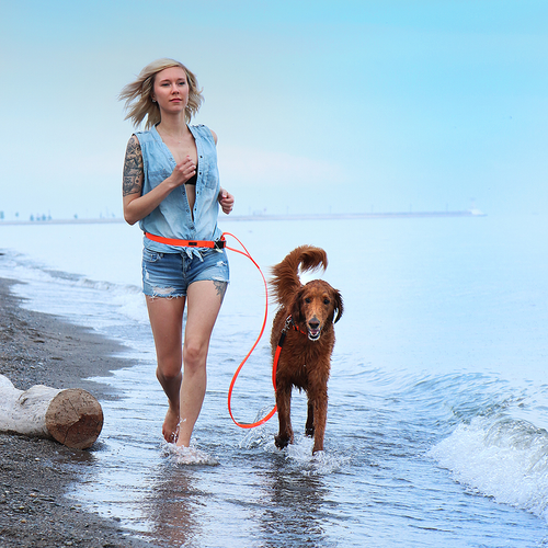 Boss Regular Leash - S000032B000142P000019V000