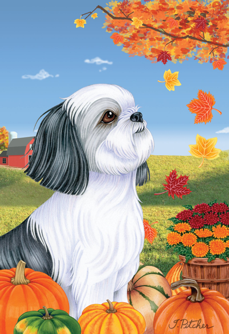Shih Tzu Grey- Tomoyo Pitcher Autumn Leaves Outdoor Flag - TP67011