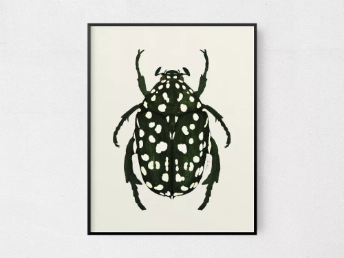 Beetle Green - TCP_57AP0147