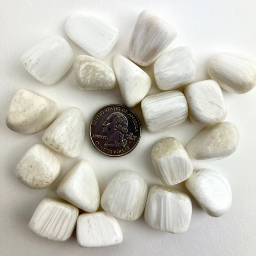 Scolecite | Tumbled | 15-25mm | India Scolecite | Tumbled | 15-25mm | India