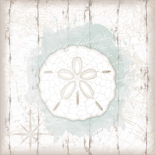 Calming Coastal Sand Dollar by Jennifer Pugh, Canvas Art - C1071408-0240000-YCCQAMA