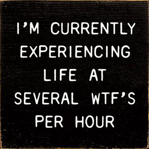 I'm Currently Experiencing Life At Several WTF's Per Hour - S002084B002469P002017V000