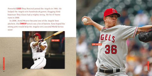 World Series Champions Series