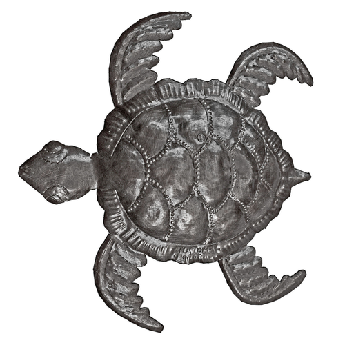 Small Sea Turtle