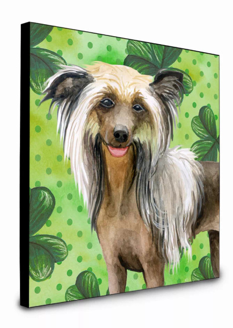 St Patrick's Dog Artwork Wall Panel - S000213B001695P016030V022