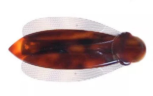 Handmade Lady Bug Barrette - 917-04