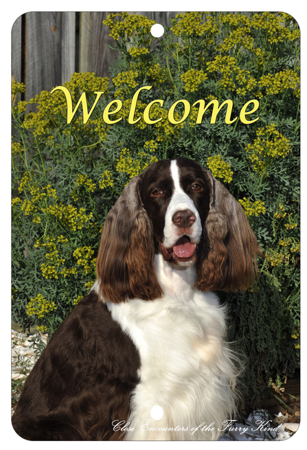 English Springer Spaniel - Best of Breed  Indoor/Outdoor Aluminum Sign