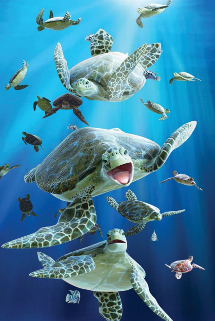 Animal Art - 3D Magnet - 20174SeaTurtles