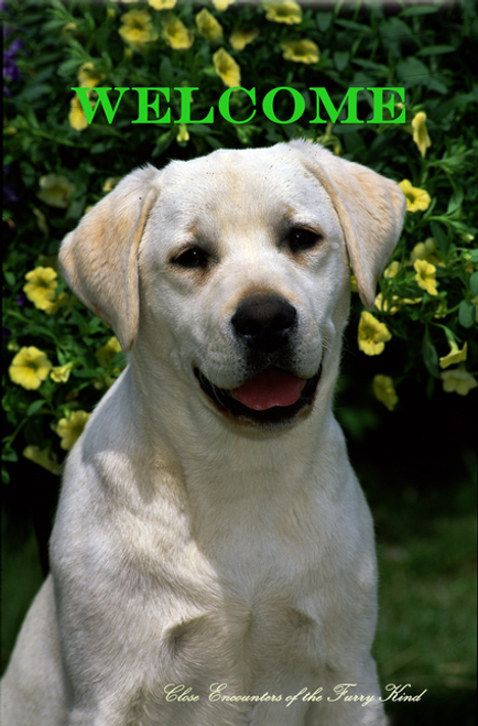Labrador Yellow - Close Encounters of the Furry Kind Welcome  House and Garden Flags - 25029