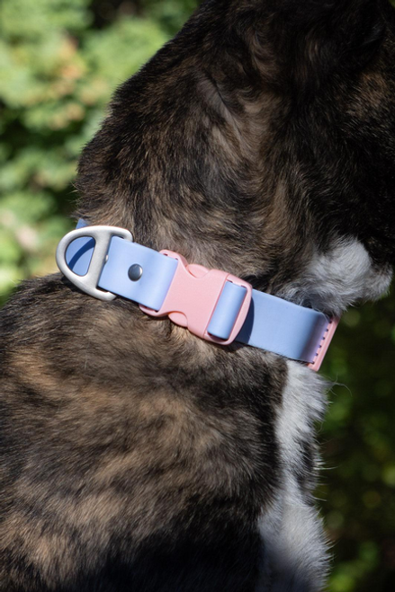 Blue Sky Orchid Waterproof Dog Collar Blue Sky Orchid Waterproof Dog Collar