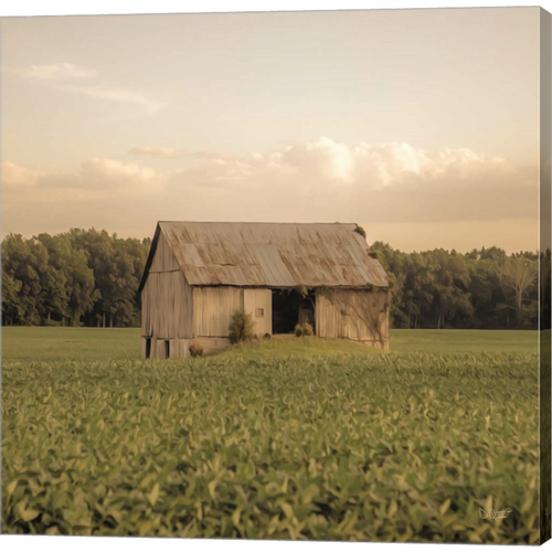 Rural Barn by Donnie Quillen, Canvas Art