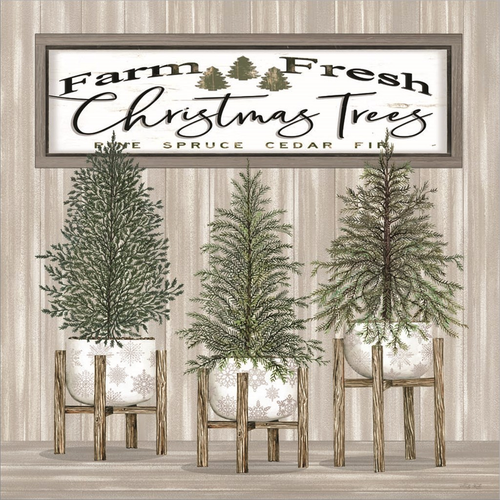 Potted Christmas Trees by Cindy Jacobs, Canvas Art