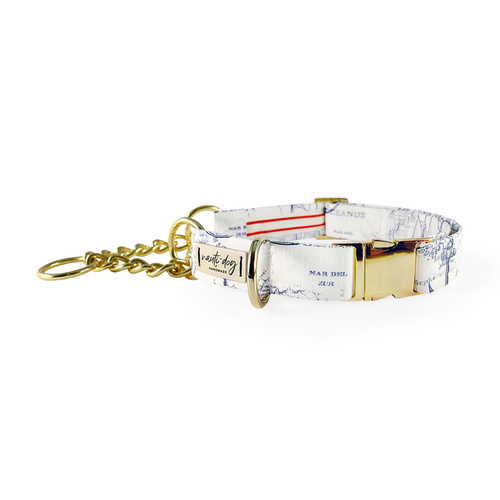 Carta Marina Light Vintage Nautical Toile Buckle & Martingale Dog Collar - S002793B002925P000040V058