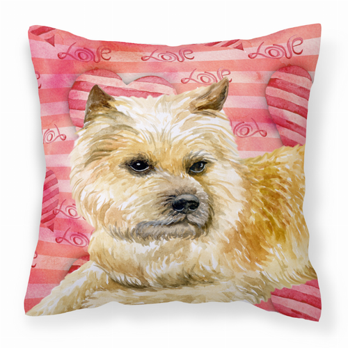 Love Design with Dog Fabric Decorative Pillow - BB9777PW1414