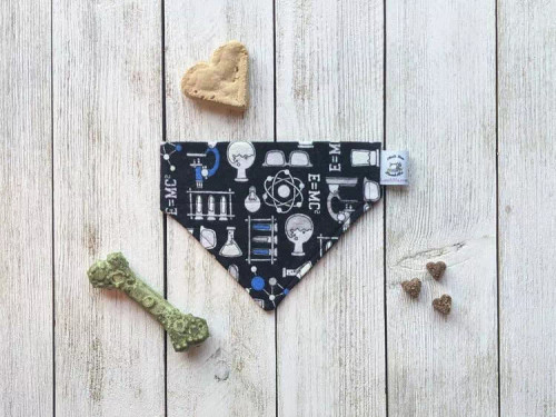 Over-The-Collar Dog Bandana - S001544B002104P000004V082