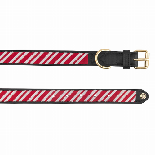 Halo Dog Collar - S001797B002239P001861V005