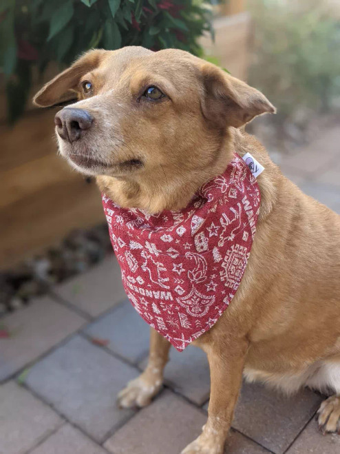 Over-The-Collar Dog Bandana - S001544B002104P000004V135