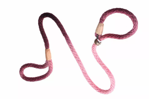 Alvalley Nylon Slip Lead With Stopper - S001009B001760P000007V110