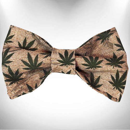 Bow Tie - S002145B002497P000007V003
