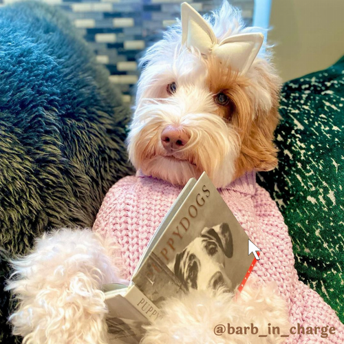 The Perfect Knit Sweater, Turtleneck - S001369B001920P000012V005