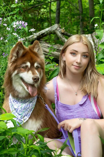 Lavender Blooms Dog Bandana - aria0051