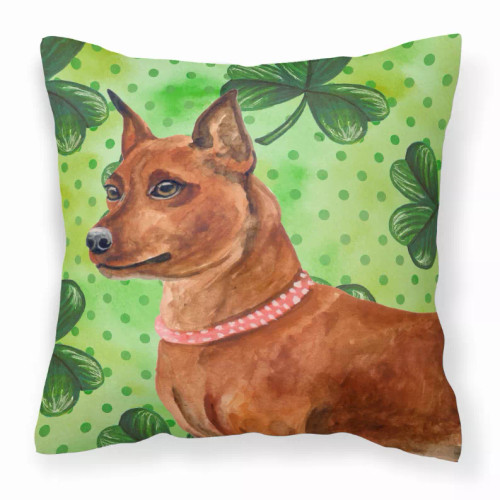 St Patrick's With Dog Fabric Decorative Pillow - S000213B001695P114303V000