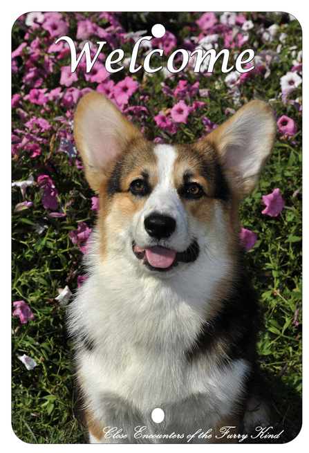 Corgi Pembroke Welsh - Best of Breed  Indoor/Outdoor Aluminum Sign