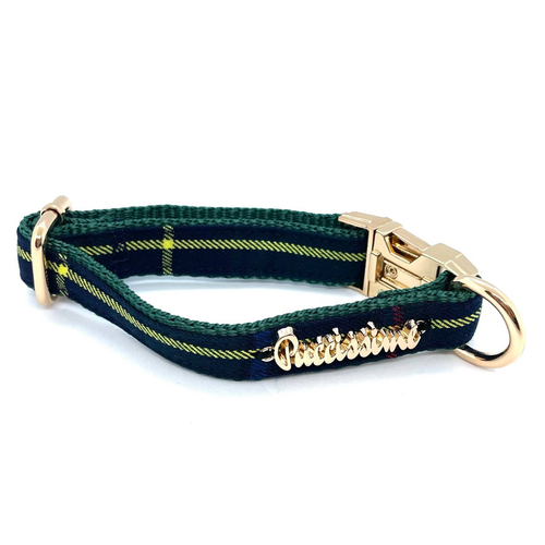 Barclay collar - PuccissimePet000190