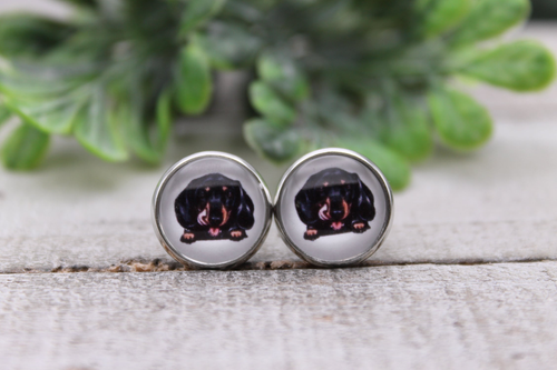 Dachshund || Dog Breed || 12mm Glass Stud Earrings