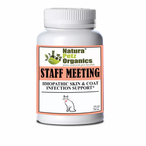 Staff Meeting* Idiopathic Skin & Coat Infection* Support For Dogs And Cats* - S001683B002346P000153V004