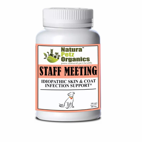 Staff Meeting* Idiopathic Skin & Coat Infection* Support For Dogs And Cats* - S001683B002346P000153V002