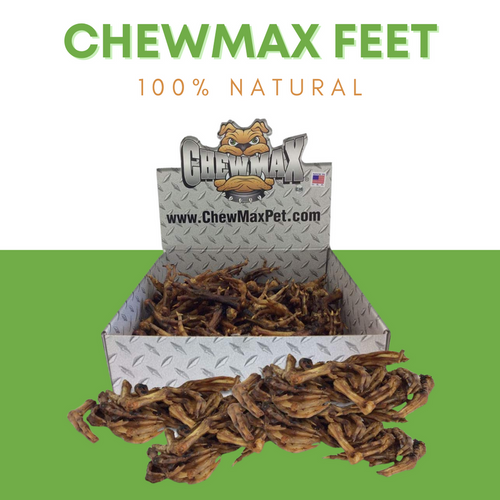 Duck Feet - DPNB633