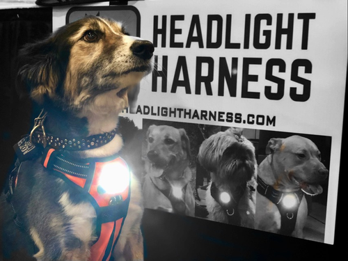 Headlight Harness, Dog Harness with Built In LED Light - S001233B002341P000001V016