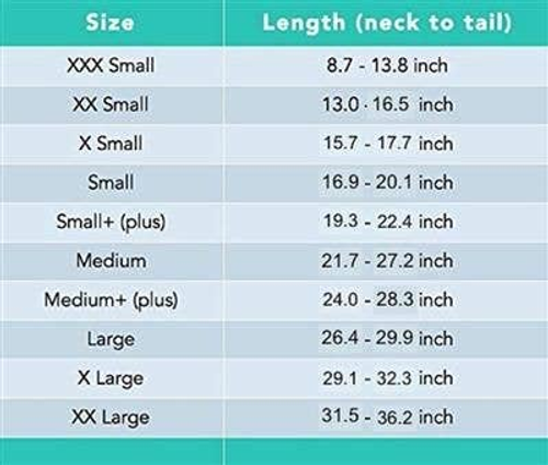 Suitical Dog Recovery Suits - S002439B002694P000011V006