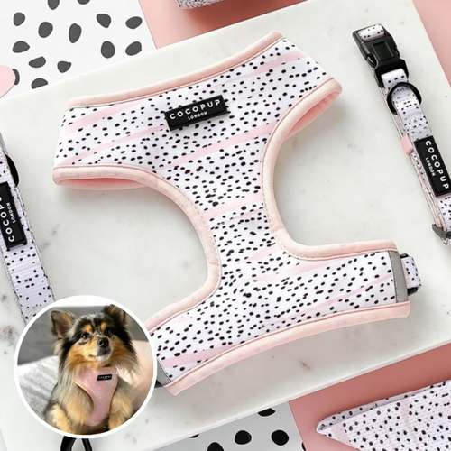 Reversible Harness - HARNESS-REVERSIBLE199