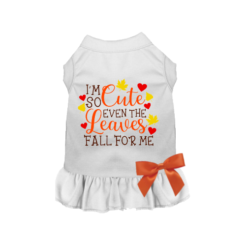 Leaves Fall For Me