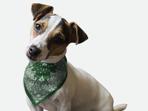 Hunter Green Paisley