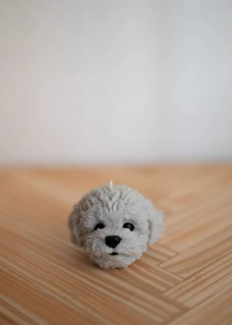 WauWau Collection - 12821284-2