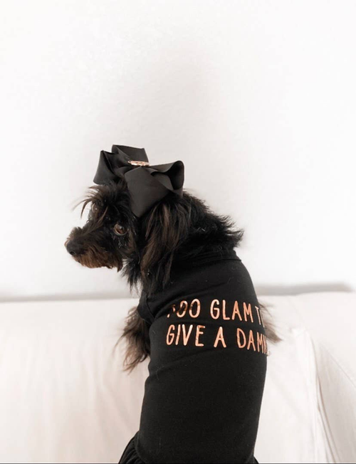 Too Glam to Give a Damn - S002142B002493P000741V002