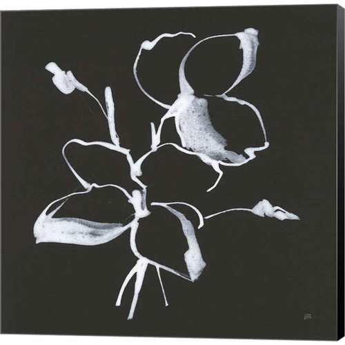 Wildflowers IV by Chris Paschke, Canvas Art