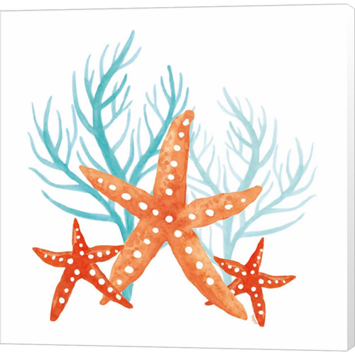Coral Aqua XIV by Tara Reed, Canvas Art