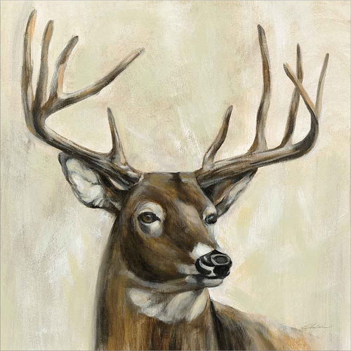 Bronze Deer by Silvia Vassileva, Framed Wall Art