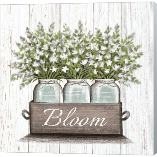 Bloom by Elizabeth Tyndall, Canvas Art