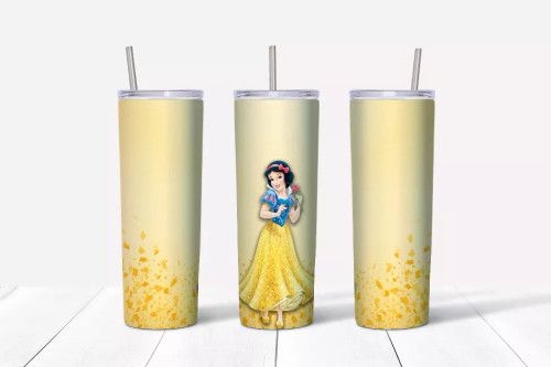 20oz Disney Princess Tumbler - 177300012998