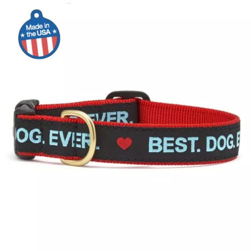 Best Dog Ever Collar or Leash - S001000B001703P000089V005