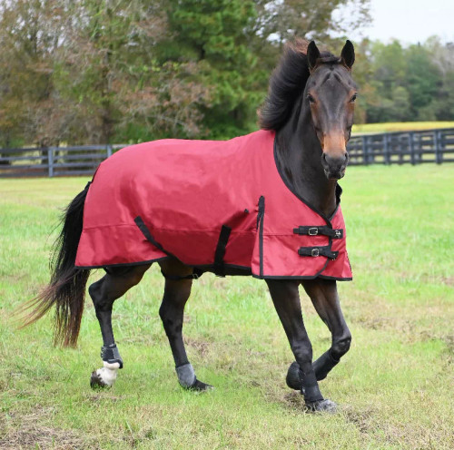 Gatsby Premium 1200D Waterproof Turnout Sheet - S000164B000551P000178V004