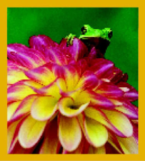 Anyone Coming - Magnetic Bookmark