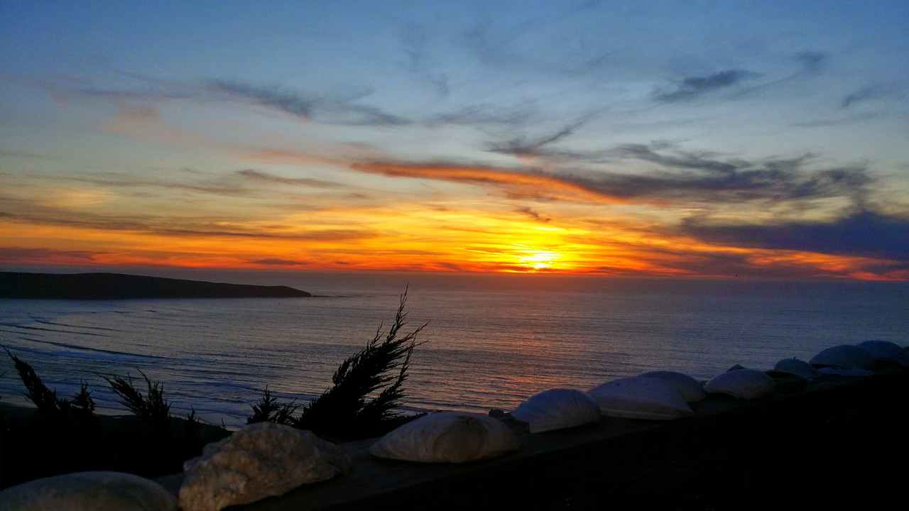 Oyster Shell Sunset